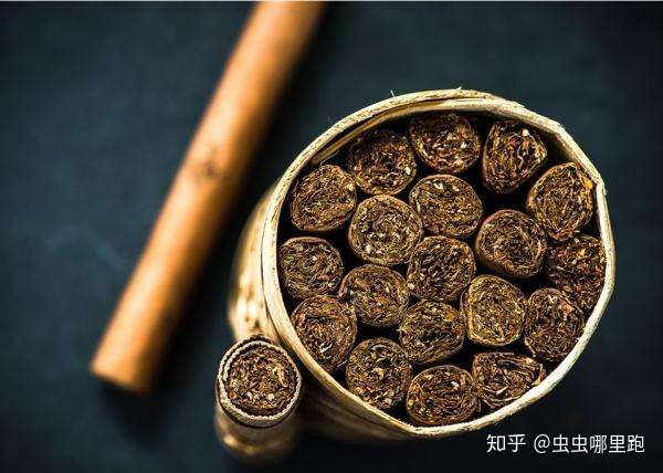 烟草甲虫怎么根治