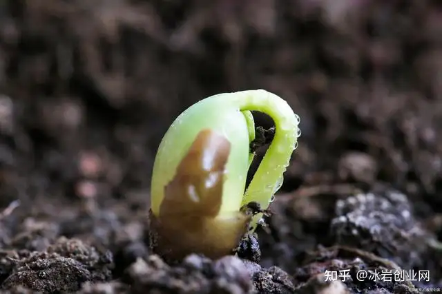 0岁零基础学什么合适？（30岁无学历零基础学什么）"