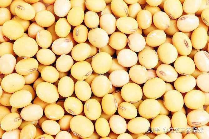 植知源豆磷脂肥 带您认识植知源肥料原材料 豆磷脂 知乎