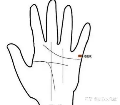 通过手相看结婚时间 知乎