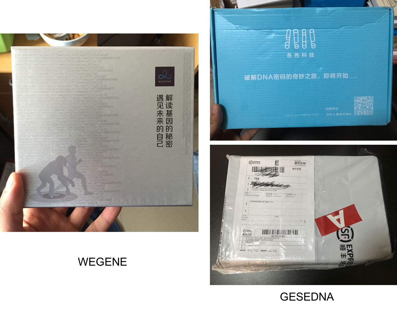知乎专栏