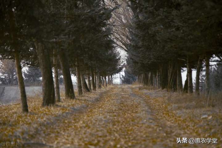 早立秋凉飕飕,晚立秋热死牛（立秋早上好还是晚上好）