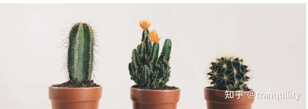 药学英语札记day 32 知乎