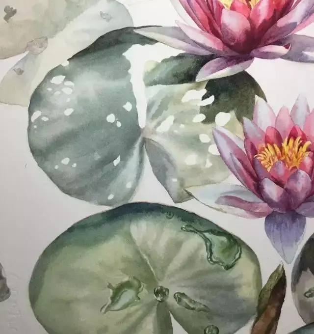 くらしを楽しむアイテム 植物画2 水彩画 デッサン 絵画/タペストリ