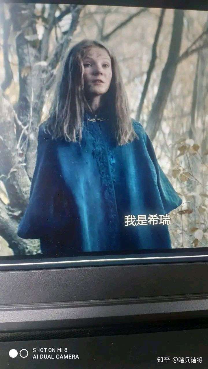 如何评价美剧《猎魔人》(the witcher)?