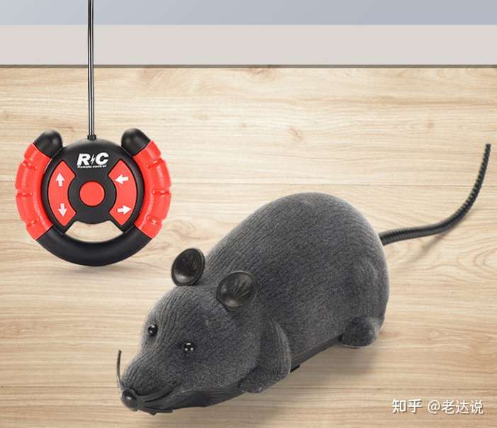 加菲猫非常喜爱的仿真老鼠玩具