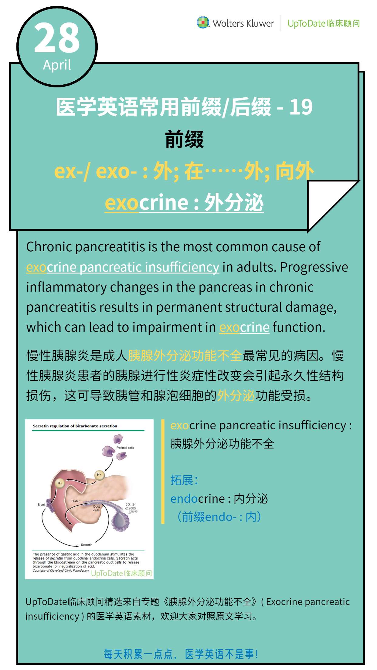 医学英语打卡 4 28 前缀ex Exo 知乎
