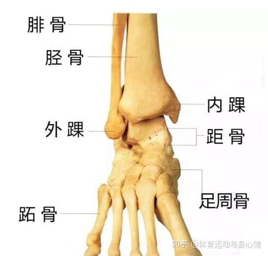 经常跑步