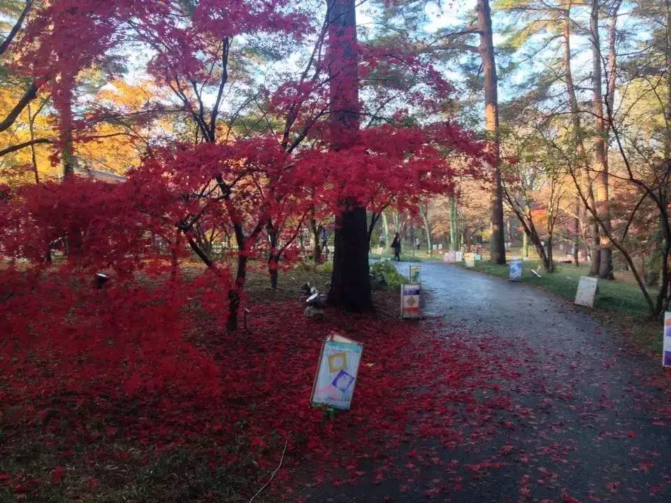 当前卫与古韵撞击 你会发现不一样的东京魅力 知乎