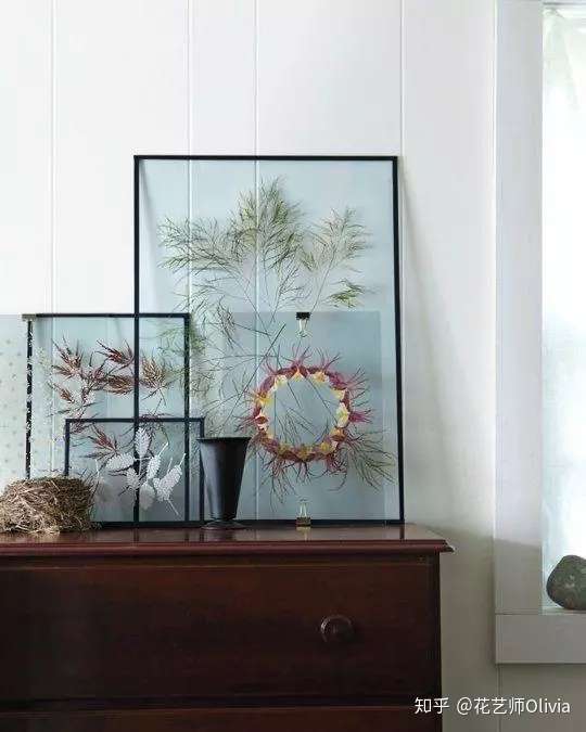 手作 植物压花 留住美的秘密 知乎