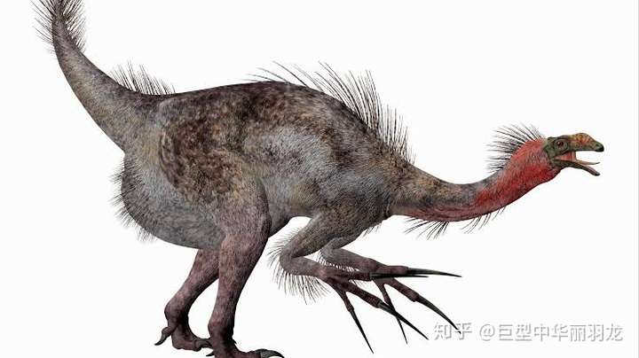 重爪龙跟镰刀龙有什么区别吗