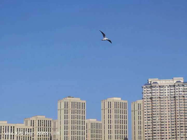 #V粉十年#见证vivo影像力升华