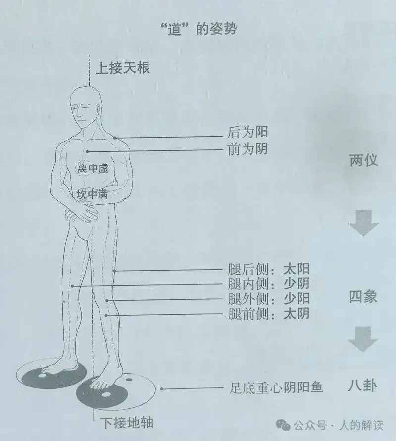 站桩，最简单的炼气功法-人的解读