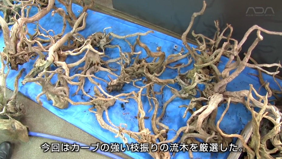 流木凹形结构造景 生动的小树林 知乎