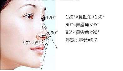 关于隆鼻的知识 从这里开始 知乎