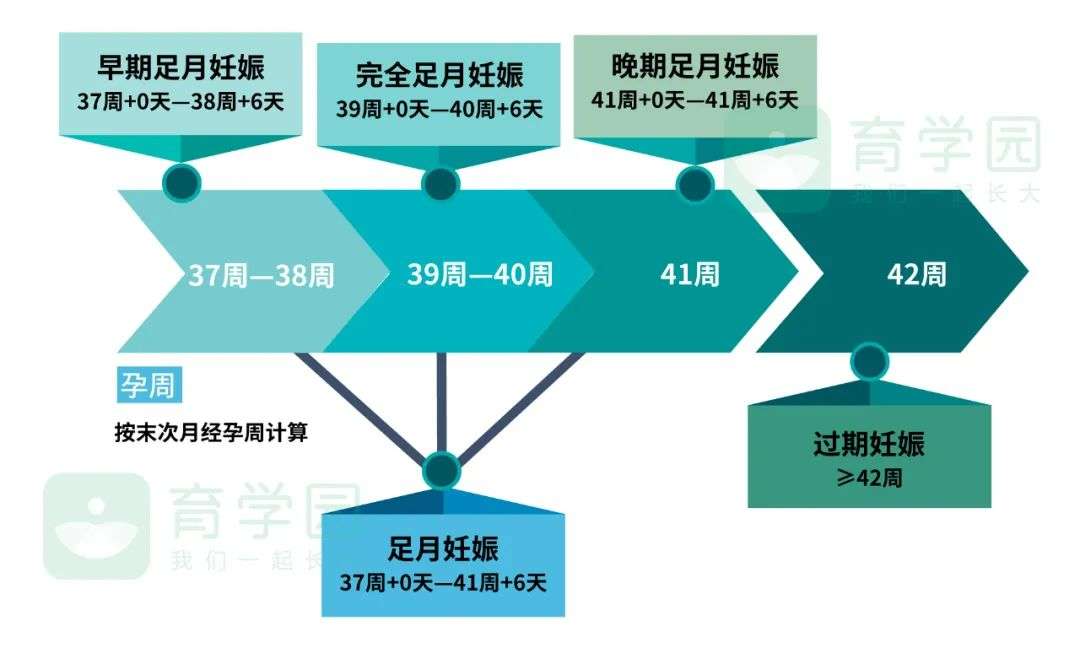 过了预产期 宝宝迟迟不肯 退房 千万别大意 知乎