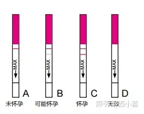 一般怀孕多久可以用验孕试纸监测出来