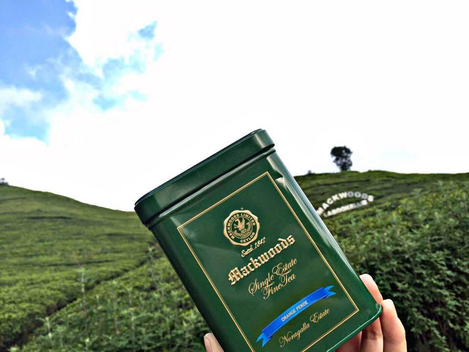 斯里兰卡红茶哪种质量最好 在哪可以买到 ? - 张