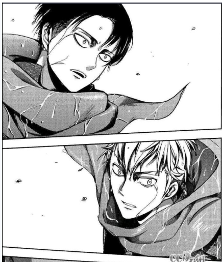 关于法兰和利威尔