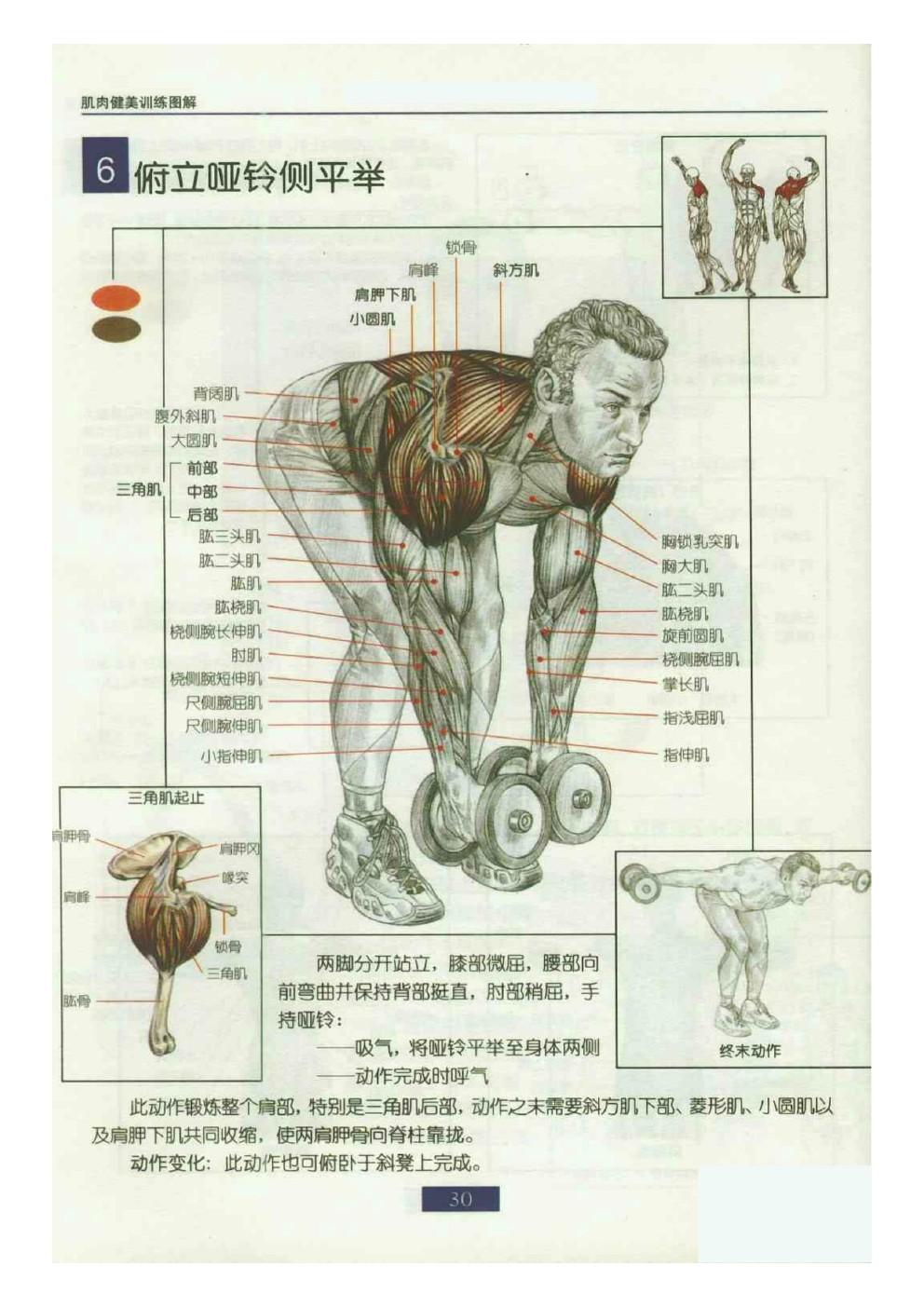 胸 -俯卧撑 引体向上入坑指南,参见男神 @陈柏龄 的从零到有——引体