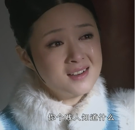 如何评价《甄嬛传》这部影视作品? - 历史 - 知