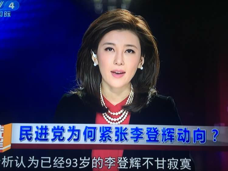 如何评价cctv4海峡两岸主持人李红的主持水平