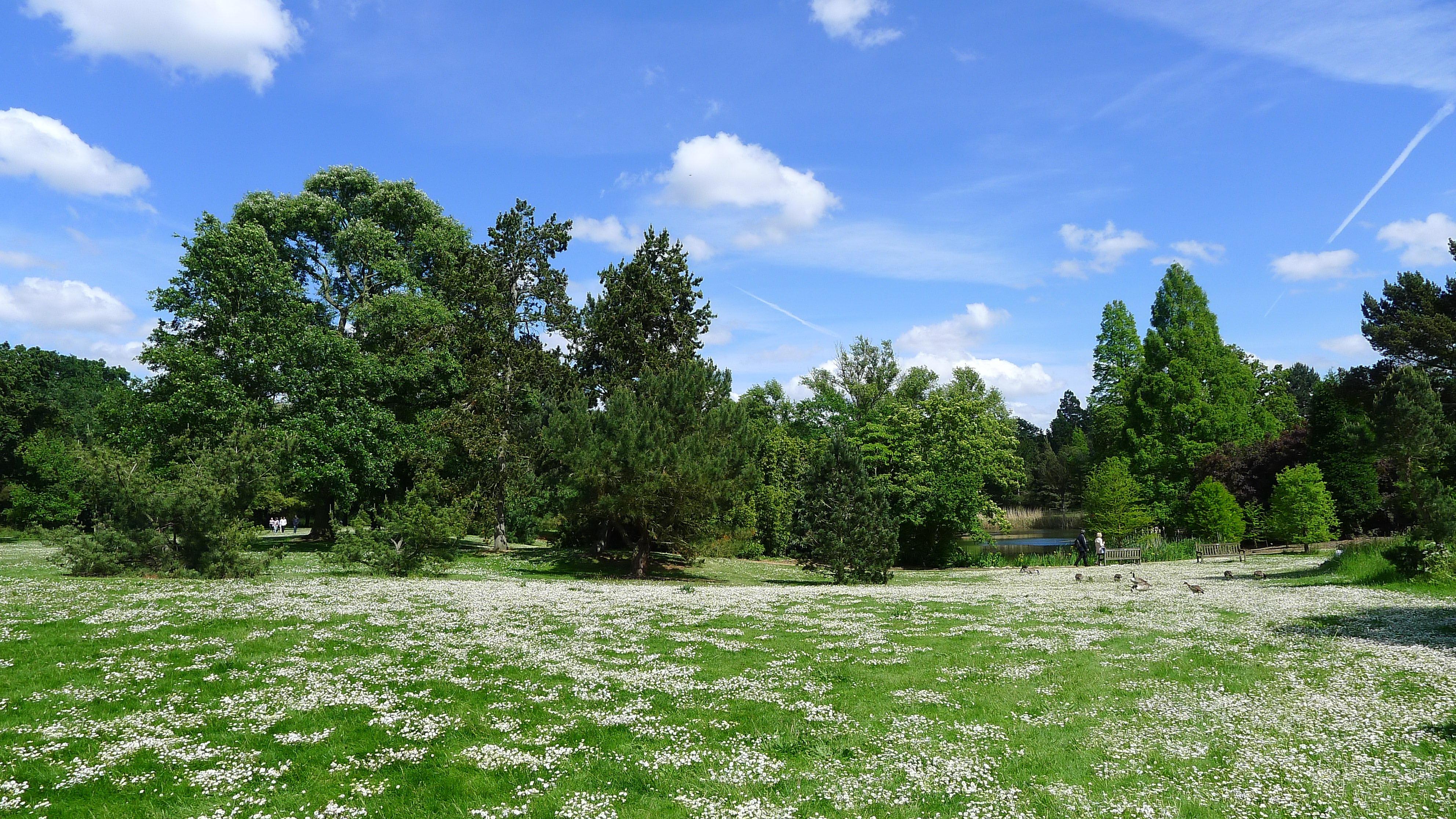 2014年5月去英国补了个"花园蜜月旅行,除了主要目标——切尔西花展