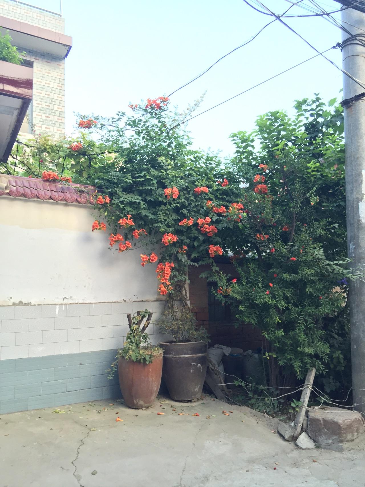 难道就像此人说的一样,中国法律管不了他? - 社