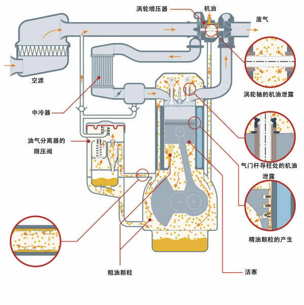 190f汽油机拆装图解图片