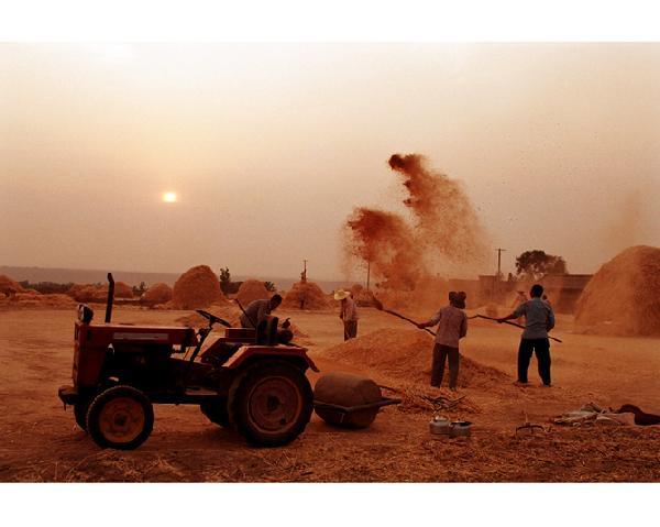 对麦穗反复的碾压,使麦子和麦壳脱离,然后靠风力把麦壳吹出去