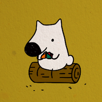 Zhihu profile picture for @feeder