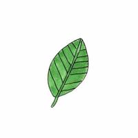 Zhihu profile picture for @oliva