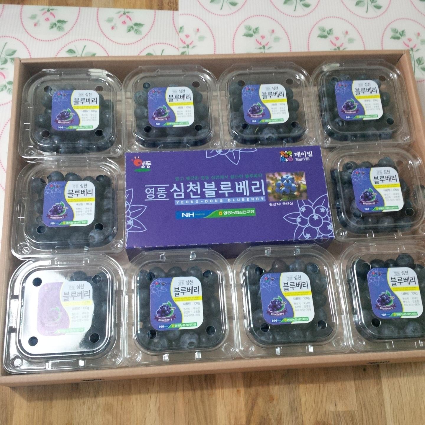 蓝莓农场游记*（多图） - 知乎