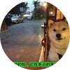 st枫林听雨