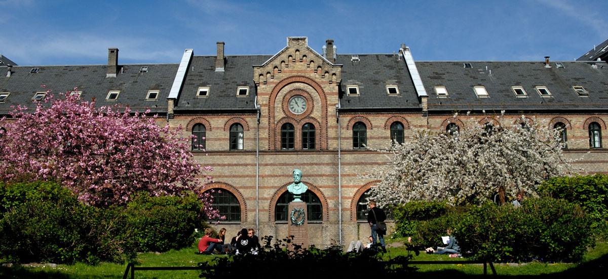 在哥本哈根大学universityofcopenhagen就读是怎样一番体验