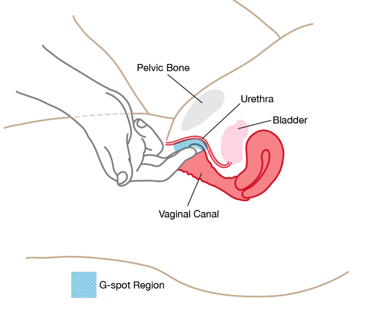 g点的补充 - 知乎