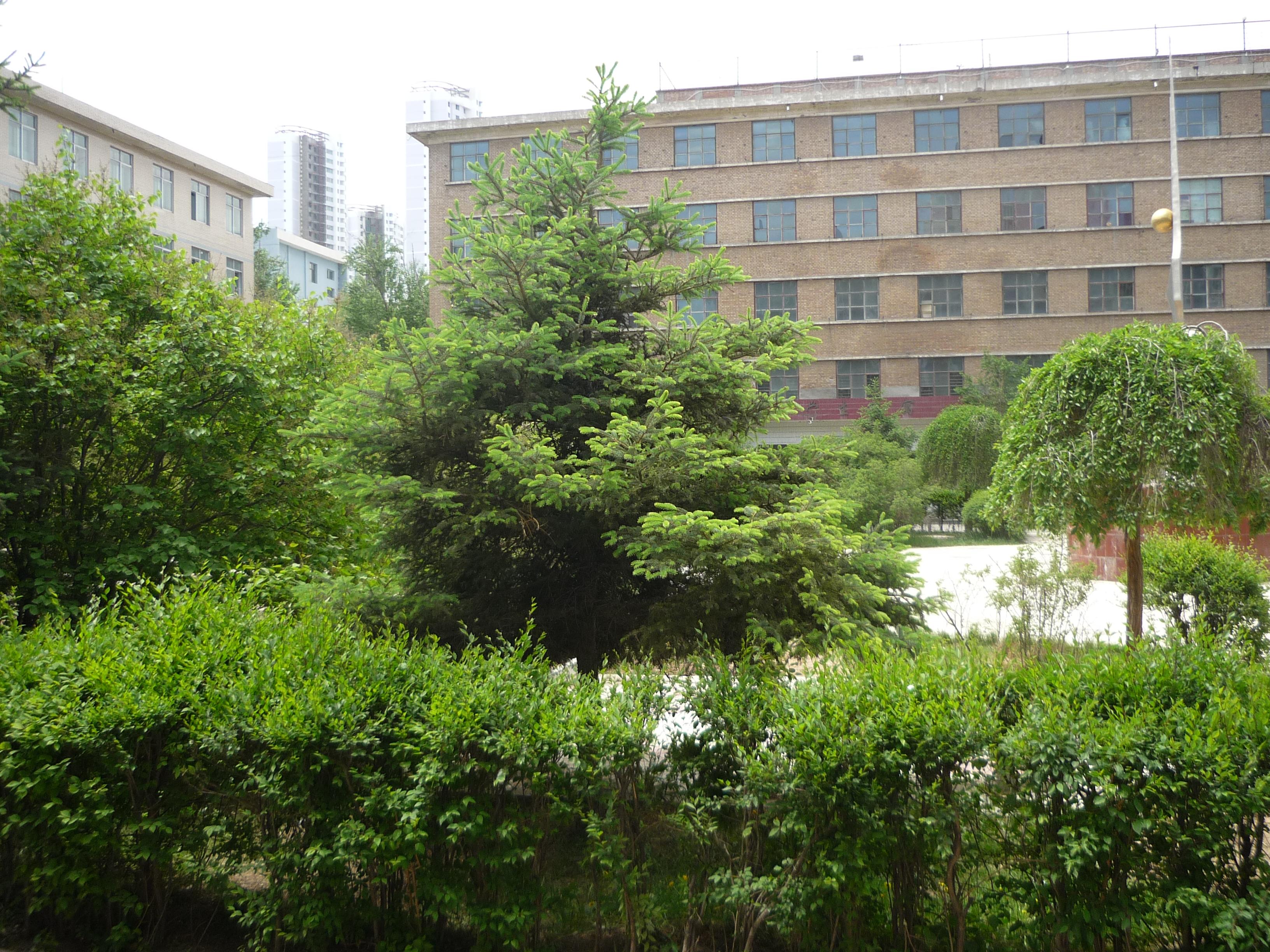 在青海湟川中学就读是一种怎样的体验