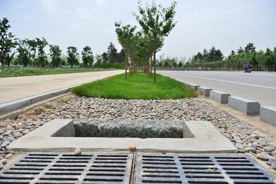 下沉式绿地:具有狭义和广义之分,狭义的下沉式绿地指低于周边铺砌地面