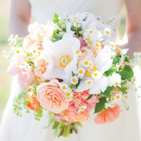 Zhihu profile picture for @weddings