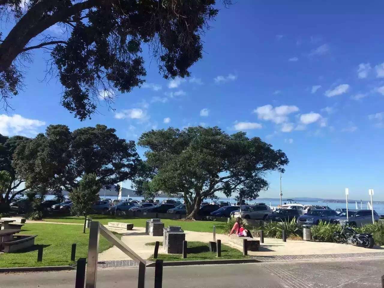 新西兰能带中成药嘛? - 纽之兰德王老师的回答