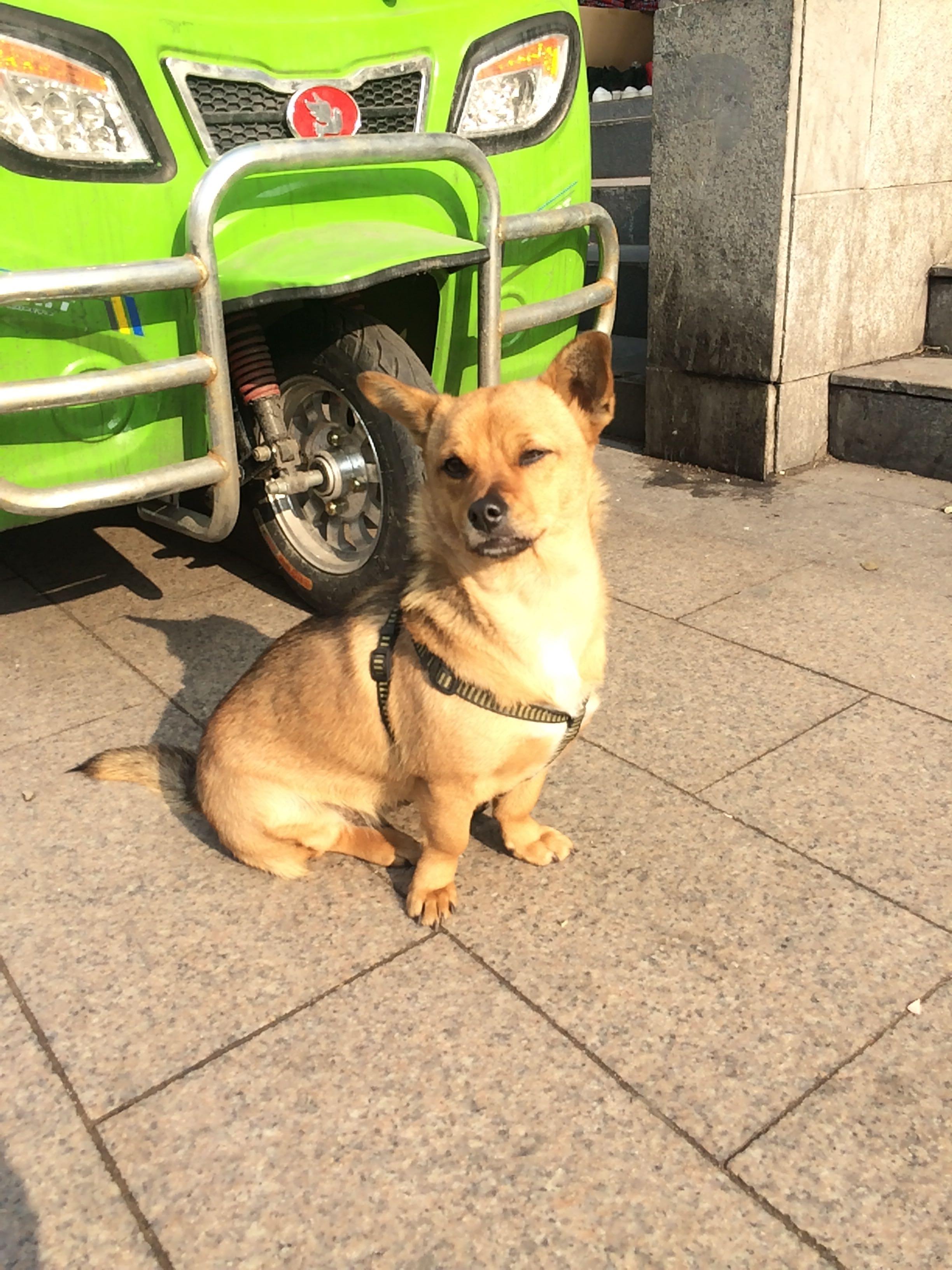 如何准备公务员面试? - WENRUI 的回答 - 知乎