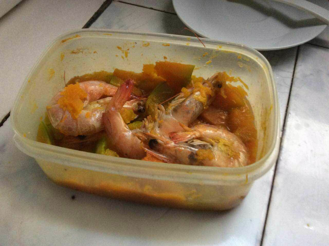 自制简单猫粮真的不行吗?一定要买猫粮? - 由柚