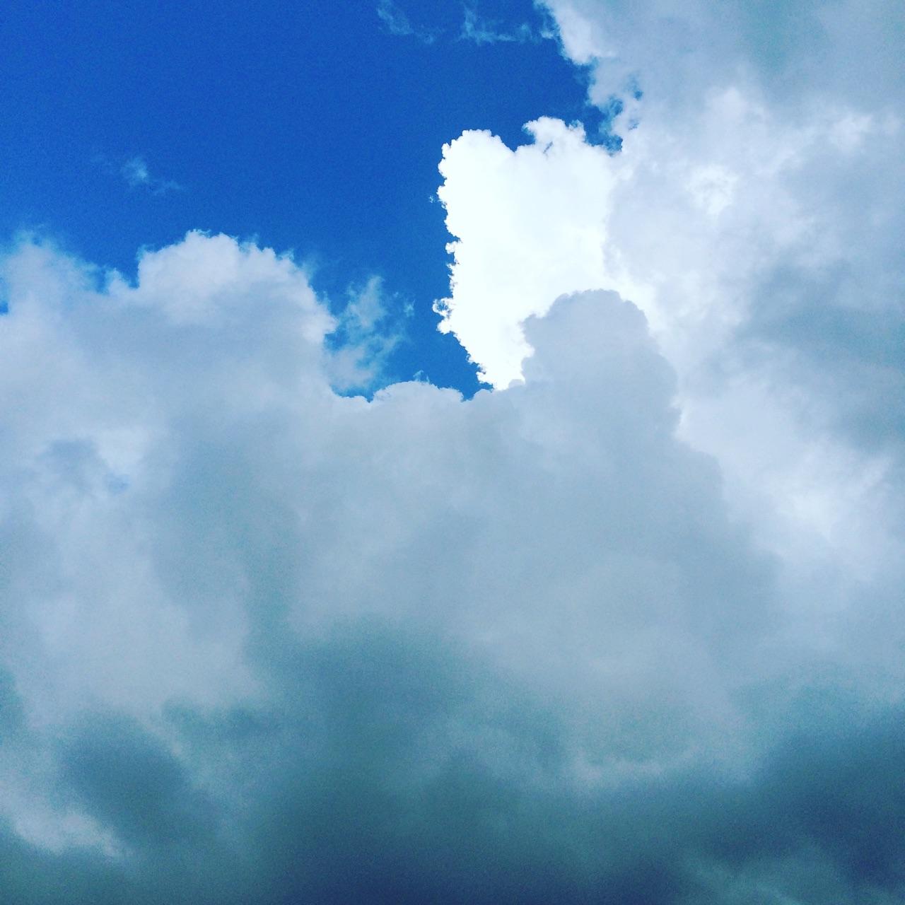 请问君行国际义工协会怎么样? - Soniayy 的回