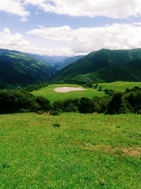 说到四川人,你的第一印象是什么?