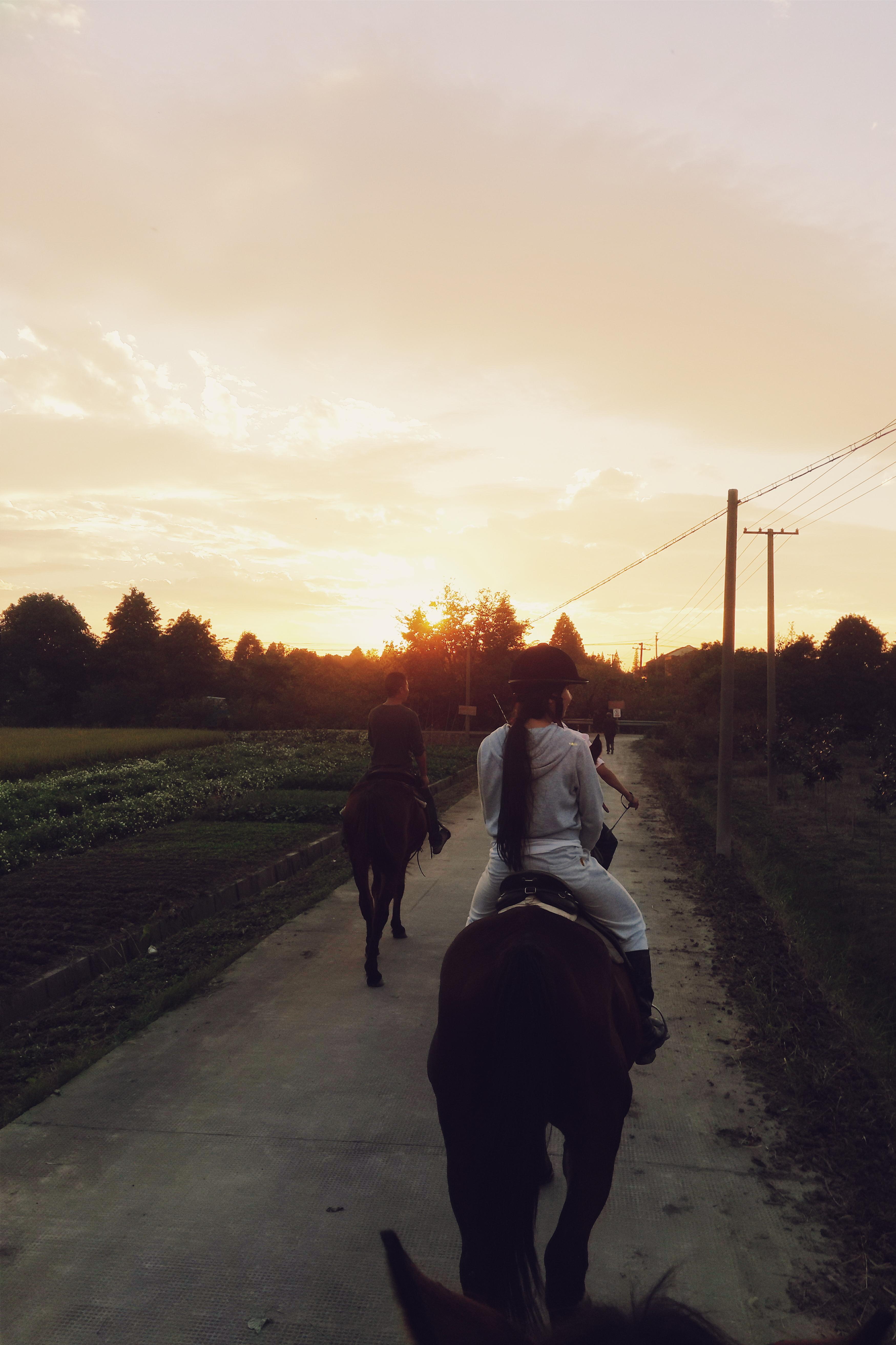 两个年轻女子在大自然中享受骑马的乐趣照片摄影图片_ID:151470859-Veer图库