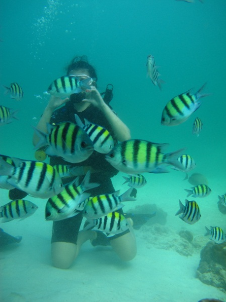 打算六月去泰国自由行一周,需要带多少钱呢? 