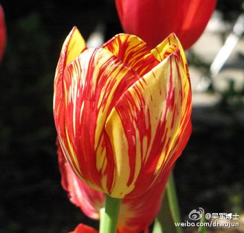 文明之光 之 发明365 6月26日 期权的发明 上 知乎 文明之光 之 发明365 6月26日 期权的发明 上 知乎