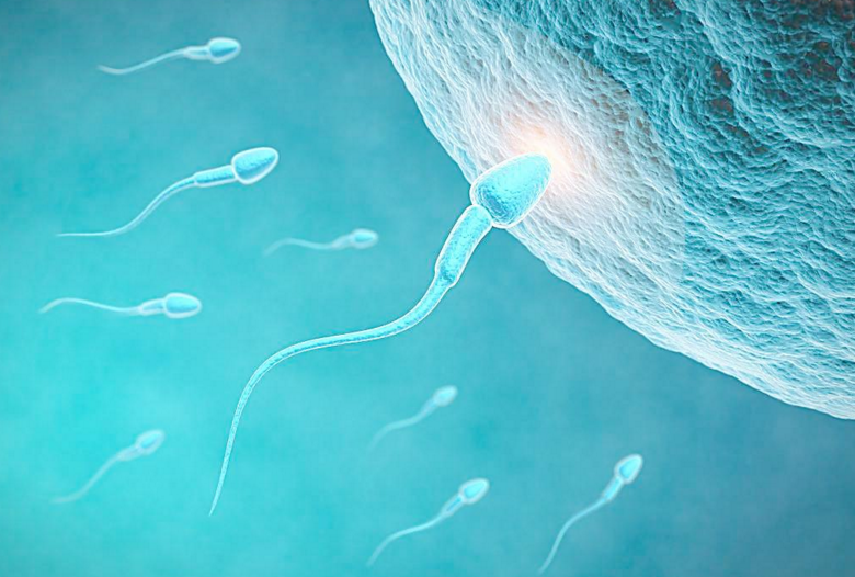 到底怎么算单卵双胞胎?