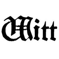 Zhihu profile picture for @witt