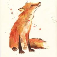 沙丘上的红狐狸it女